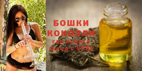 прущие грибы Алексеевка