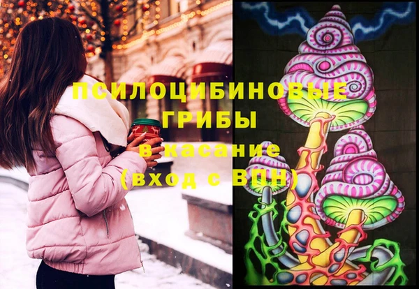 прущие грибы Алексеевка
