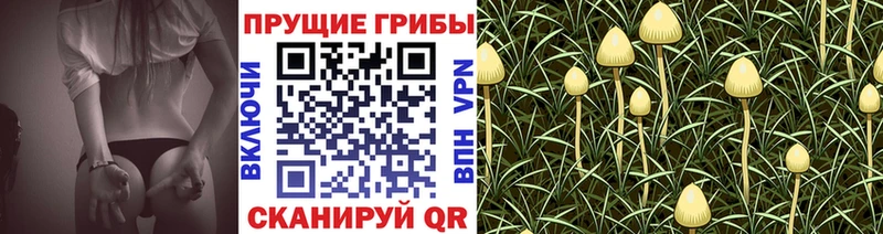 Псилоцибиновые грибы мухоморы mega ссылки Новая Ляля